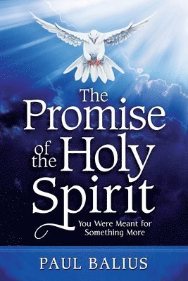 bokomslag The Promise of the Holy Spirit