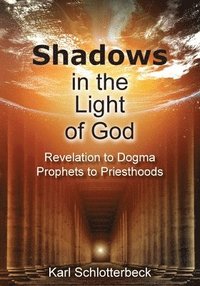 bokomslag Shadows in the Light of God