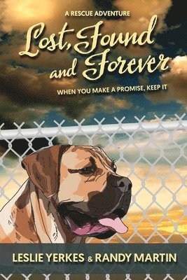 Lost, Found, and Forever