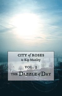 bokomslag Dazzle of Day