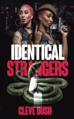 Identical Strangers 1