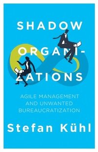 bokomslag Shadow Organizations