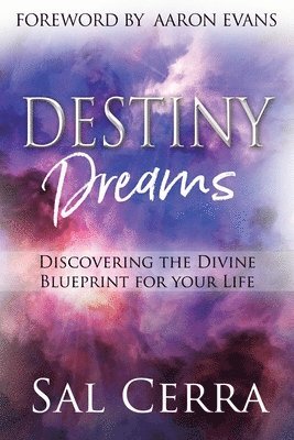 Destiny Dreams 1