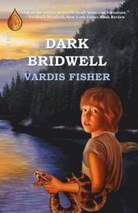 bokomslag Dark Bridwell