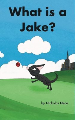 What is a Jake? 1