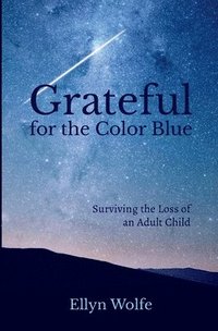bokomslag Grateful for the Color Blue