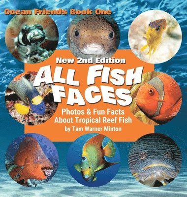 All Fish Faces 1