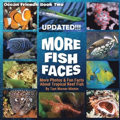 bokomslag More Fish Faces UPDATED
