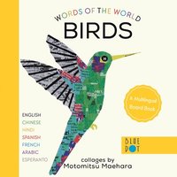 bokomslag Birds (Multilingual Board Book)