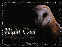 bokomslag Night Owl