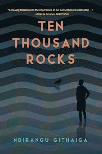 bokomslag Ten Thousand Rocks