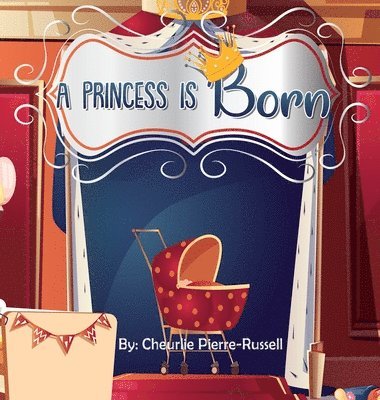 bokomslag Princess Is Born
