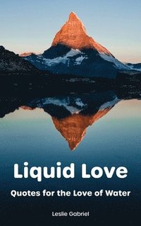 bokomslag Liquid Love