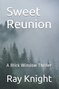 bokomslag Sweet Reunion: A Brick Winslow Thriller