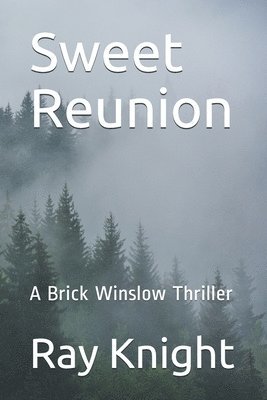 Sweet Reunion: A Brick Winslow Thriller 1