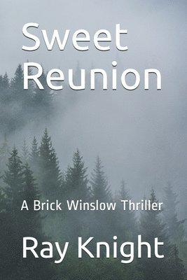 Sweet Reunion: A Brick Winslow Thriller