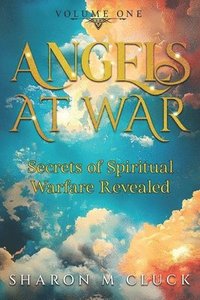 bokomslag Angels At War