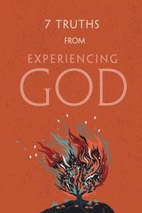 bokomslag 7 Truths from Experiencing God