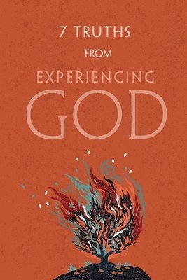 bokomslag 7 Truths from Experiencing God