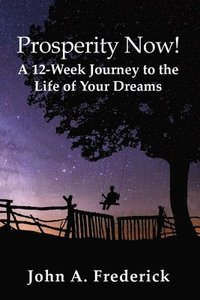 bokomslag Prosperity Now! A 12-Week Journey to the Life of Your Dreams