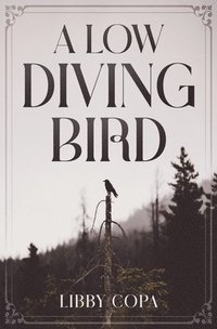 bokomslag A Low Diving Bird