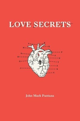 bokomslag Love Secrets