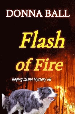bokomslag Flash of Fire