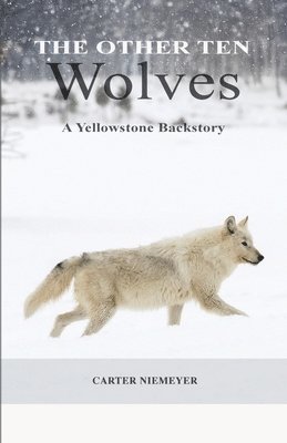 bokomslag Other Ten Wolves