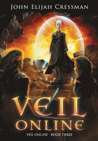 bokomslag Veil Online - Book 3