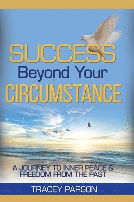 bokomslag Success Beyond Your Circumstance