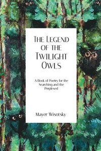 bokomslag Legend of the Twilight Owls