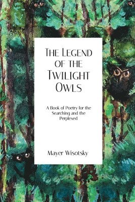 bokomslag Legend of the Twilight Owls