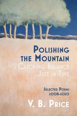 bokomslag Polishing the Mountain, or Catching Balance Just in Time