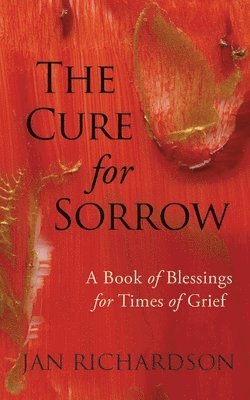 bokomslag The Cure for Sorrow
