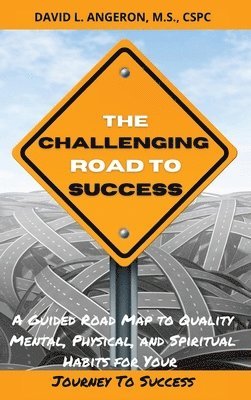 bokomslag The Challenging Road To Success