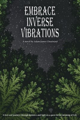 bokomslag Embrace Inverse Vibrations