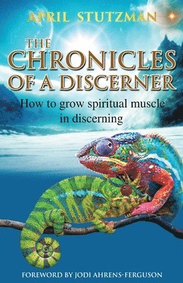 bokomslag The Chronicles Of A Discerner