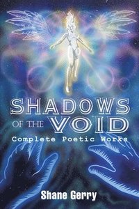 bokomslag Shadows of the Void