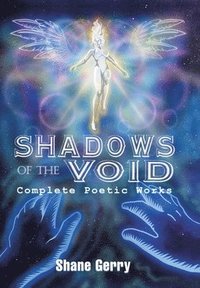 bokomslag Shadows of the Void