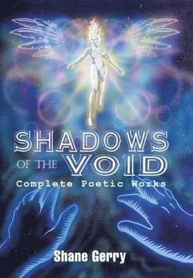bokomslag Shadows of the Void