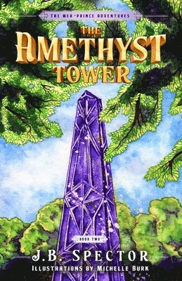 bokomslag Amethyst Tower