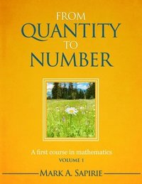 bokomslag From Quantity To Number: A first course in mathematics