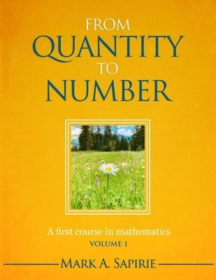 bokomslag From Quantity To Number: A first course in mathematics