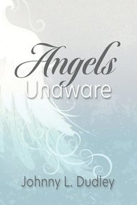 bokomslag Angels Unaware