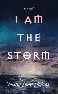 bokomslag I Am the Storm