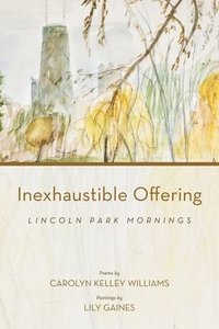 bokomslag Inexhaustible Offering