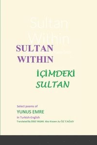 bokomslag Sultan Within