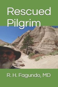 bokomslag Rescued Pilgrim