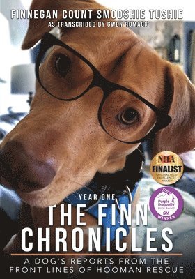 Finn Chronicles