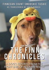 bokomslag The Finn Chronicles